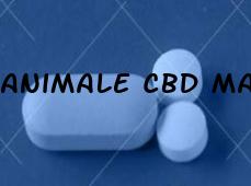 Animale Cbd Male Enhancement