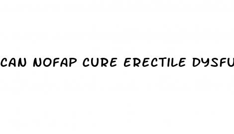 Can Nofap Cure Erectile Dysfunction