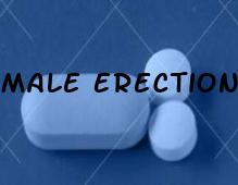 Male Erection Pills Reviews